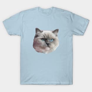 Ragdoll Cat T-Shirt